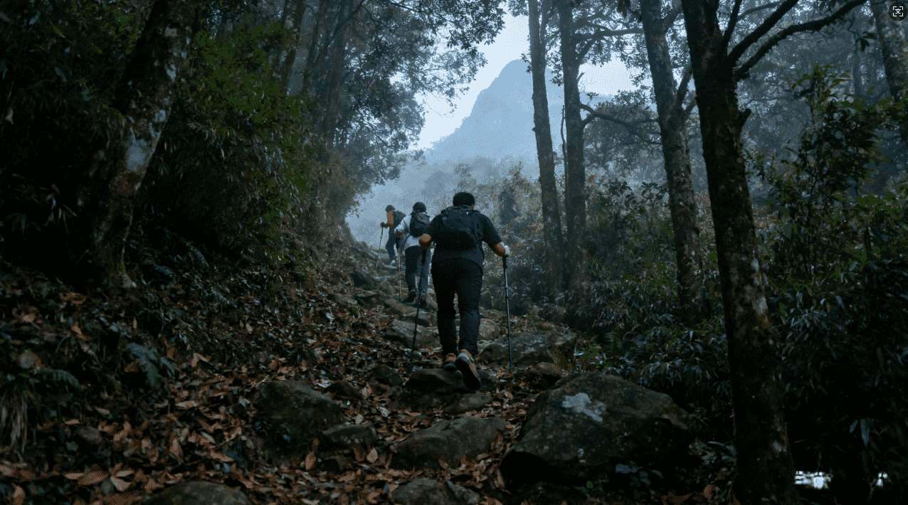 加速器与VPN的费用差异及选择建议